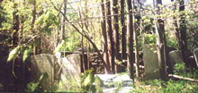 The Caldwell family graveyard, Salisbury Mills.